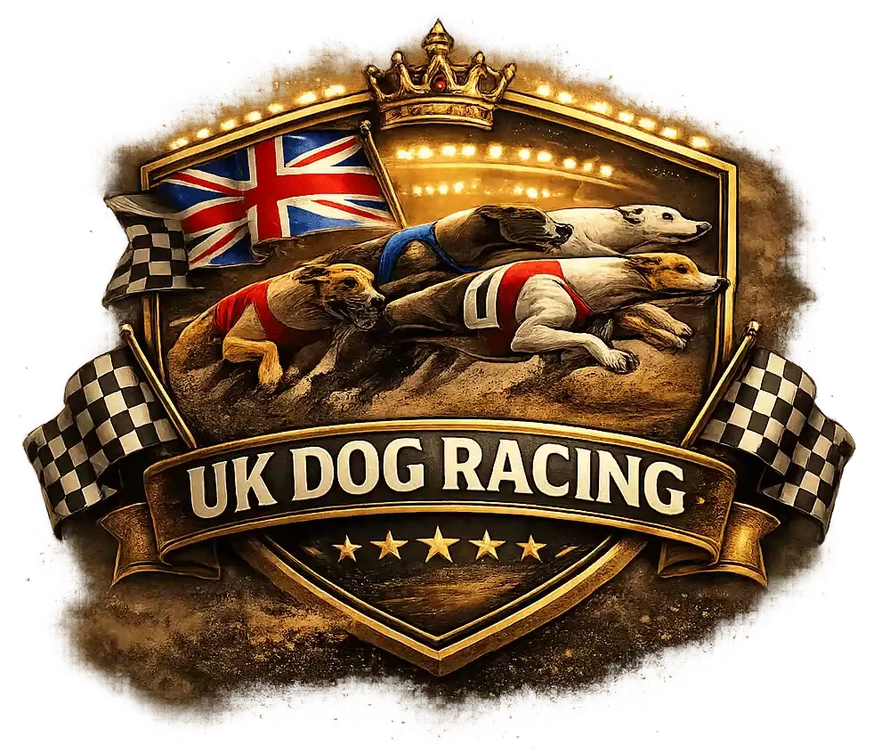 tonightsgreyhound.com