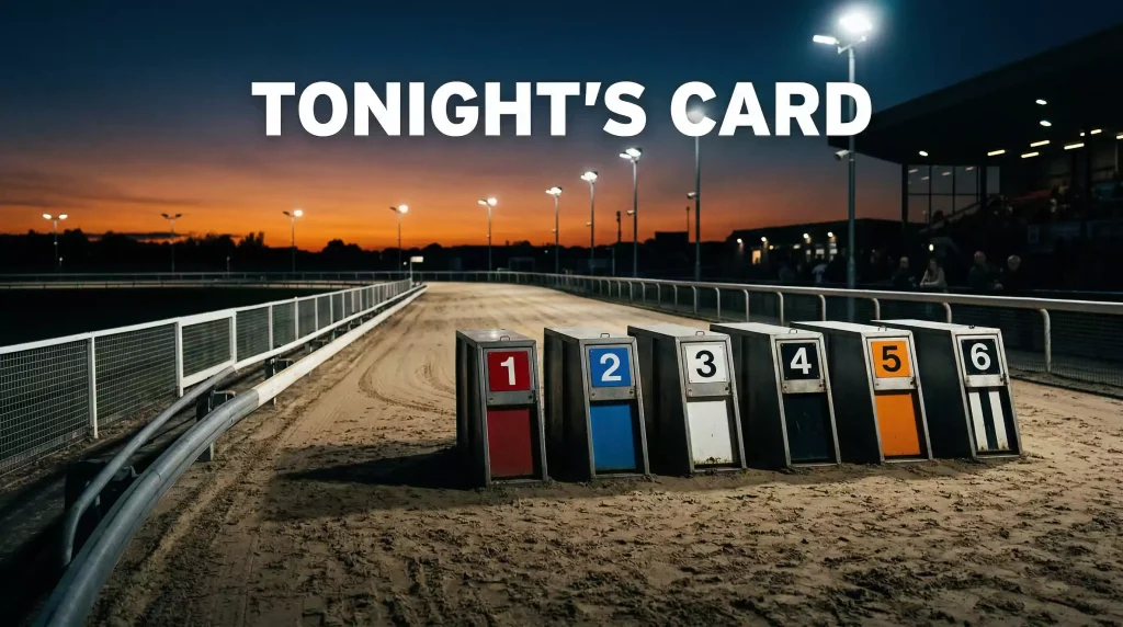 Greyhound racing fixtures tonight — floodlit greyhound track at dusk with starting traps ready for an evening meeting