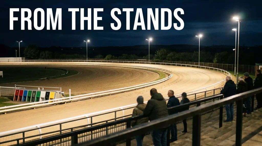 Colwick Park greyhound track in Nottingham viewed from the grandstand with floodlights on