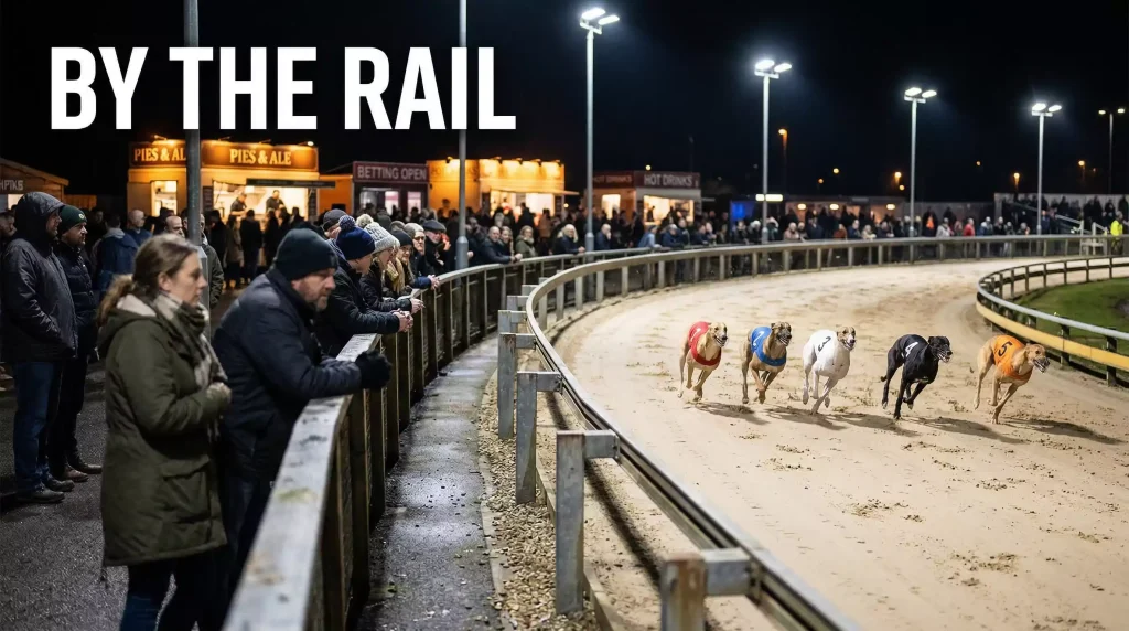 Sunderland greyhound stadium at night with spectators gathered near the trackside rail